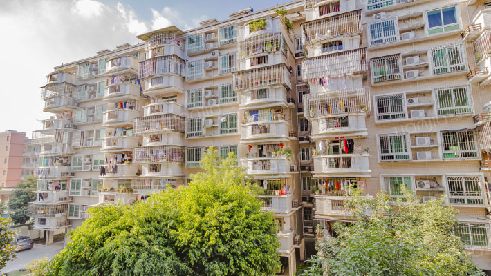 福州春天外景图