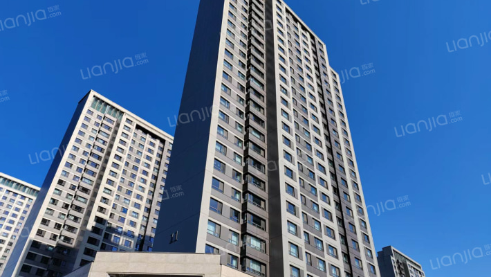 仁恒公园世纪(河西)外景图