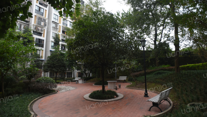 泽科兴城C区外景图