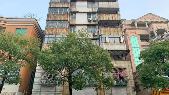 桃园一路外景图