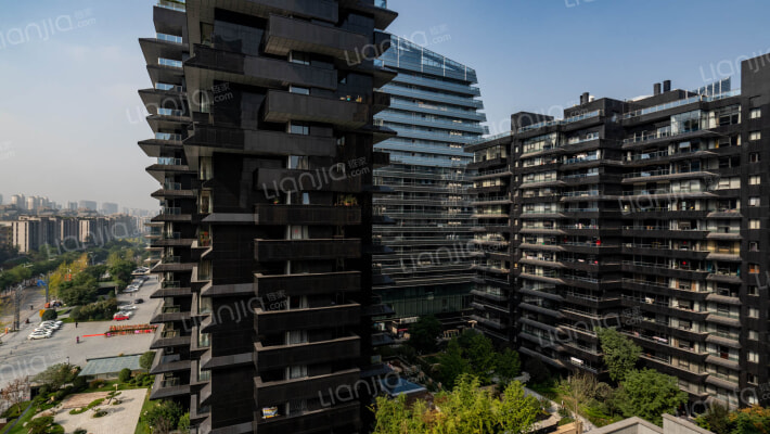 曲江玫瑰园外景图