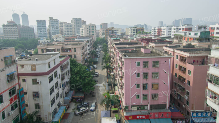 50区开屏中心外景图