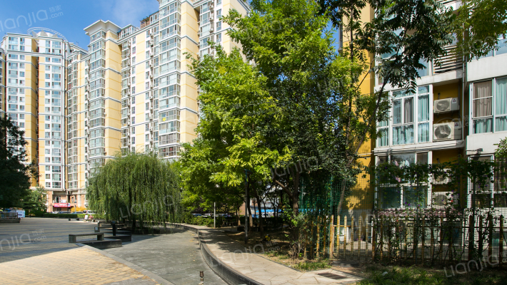 星河城西区外景图