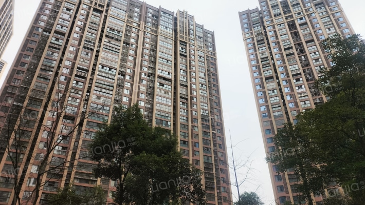 银诚东方国际三期外景图