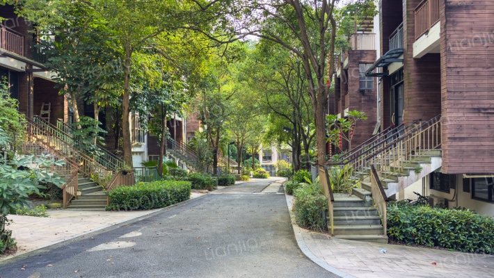 逸林美墅外景图