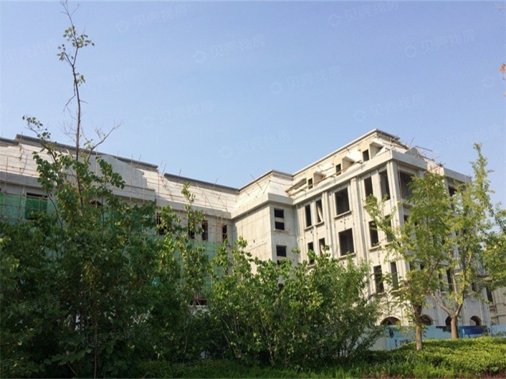 红豆杉养生谷实景图
