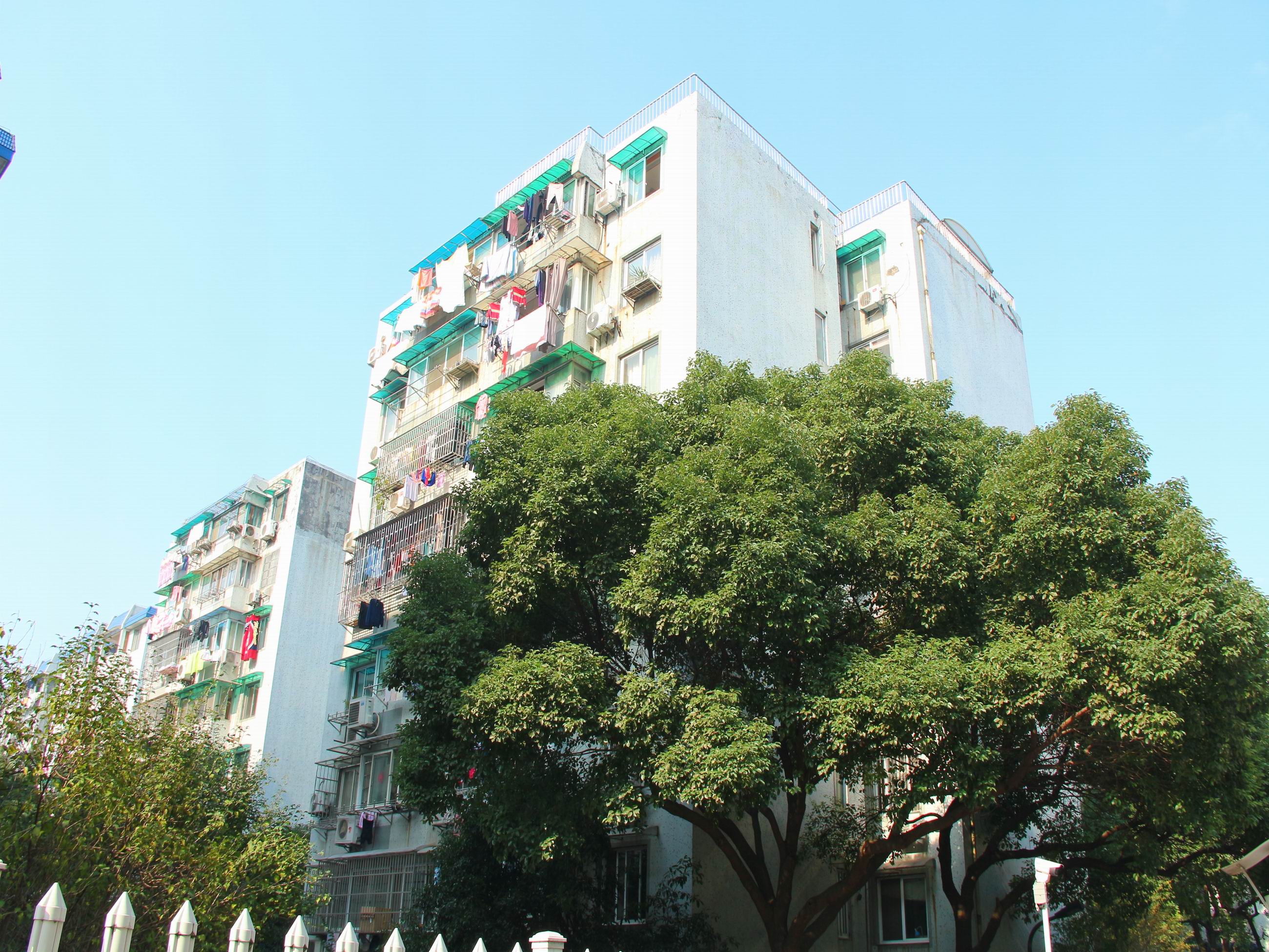 Nandu Garden compound photo 32