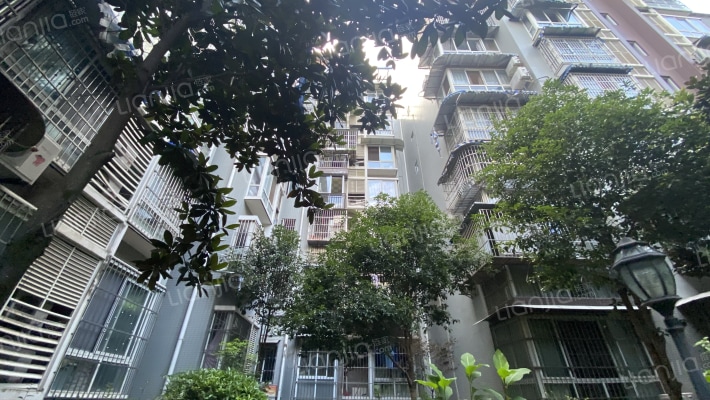 香江逸景外景图