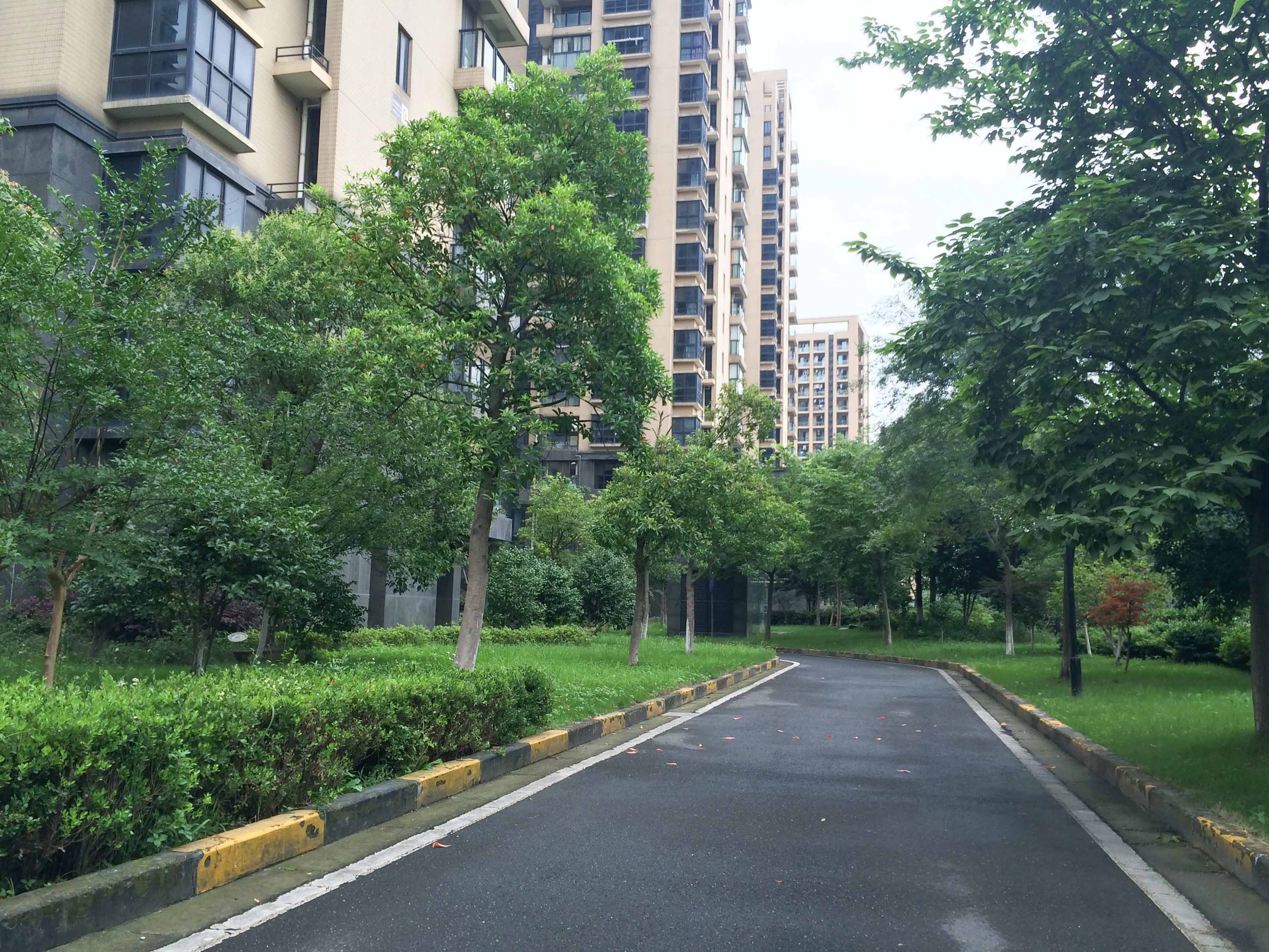 钱塘滨和花园小区实景 13