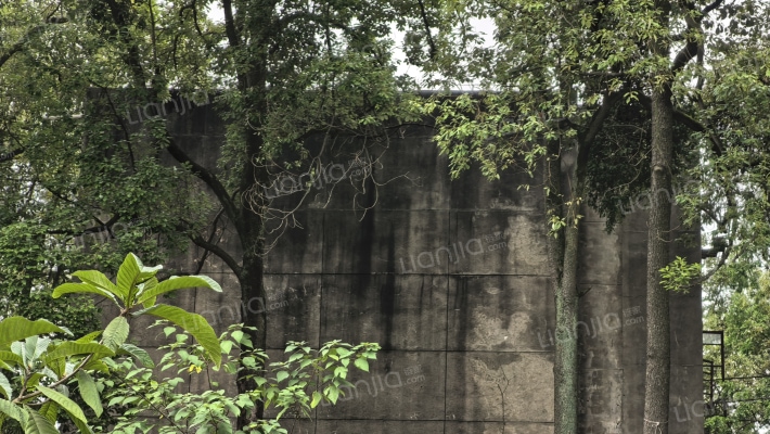 应龙6组258号外景图