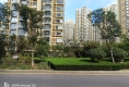 锦泰新村小区户型图实景图