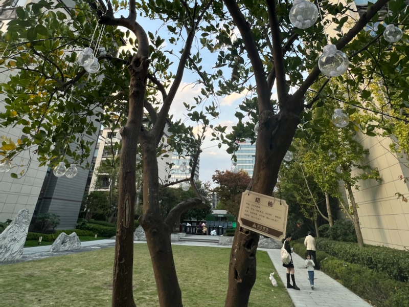 合景映月台小区实景 10