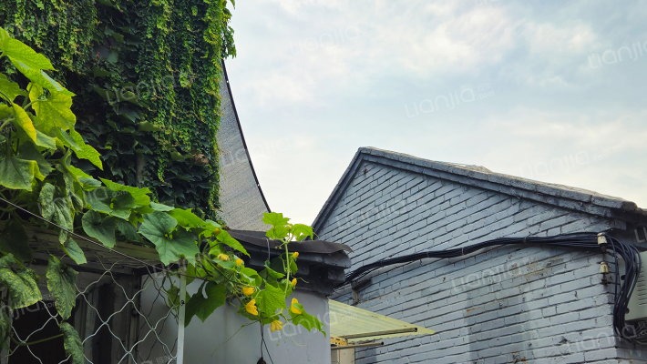 小弓匠胡同外景图