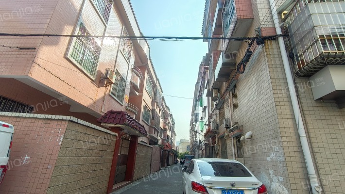 长洲西畴下街外景图