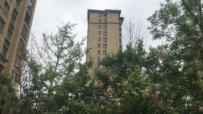 万科观湖苑外景图