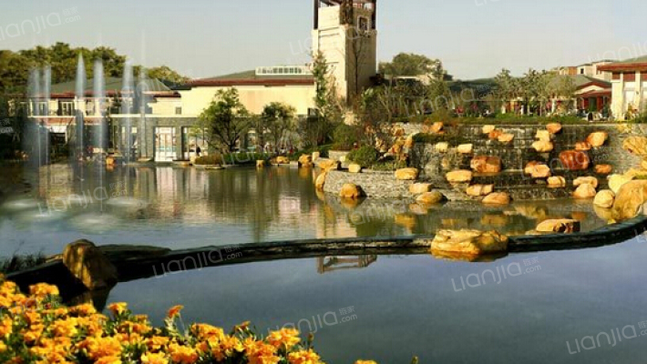 麗山国际外景图