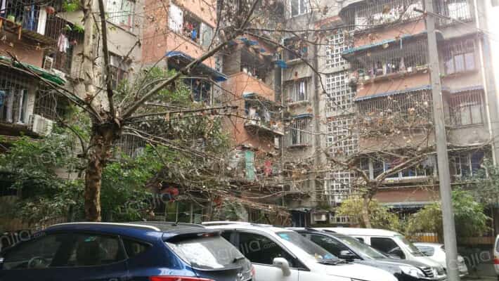 牧电路13号外景图