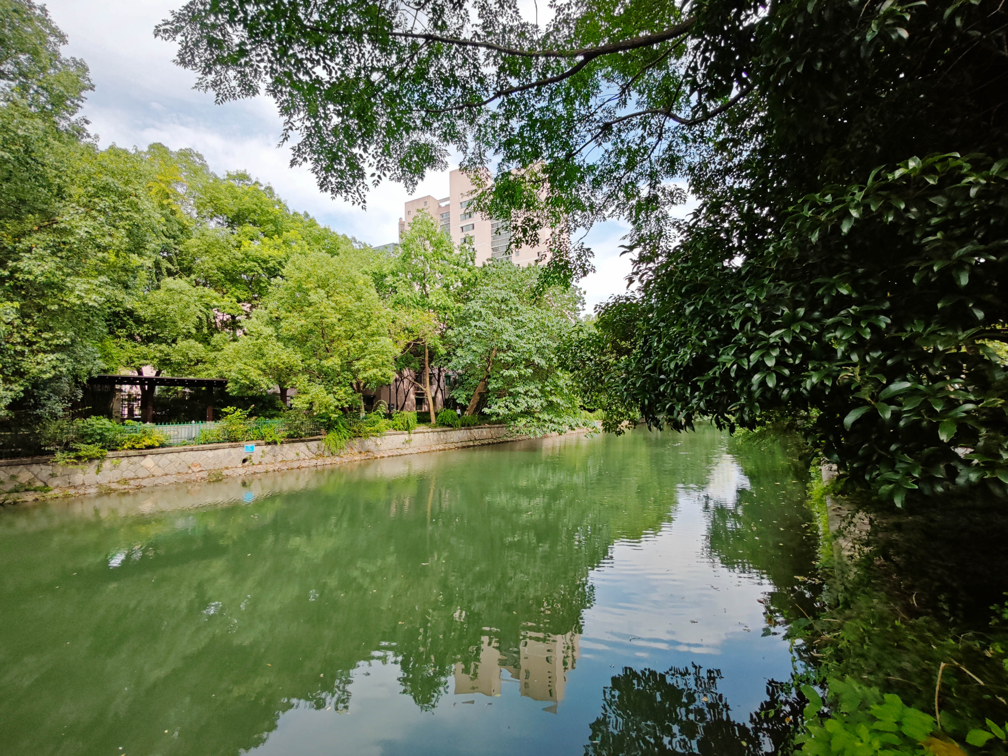 Moganxincun  compound photo 31