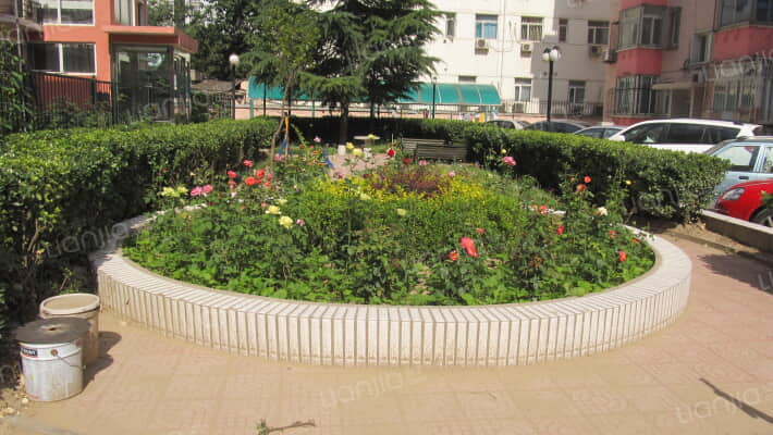 大慧寺19号院外景图