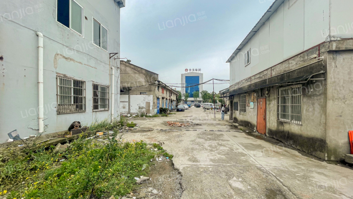 龙嘘路246弄外景图