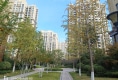 天宁▪首府户型图实景图