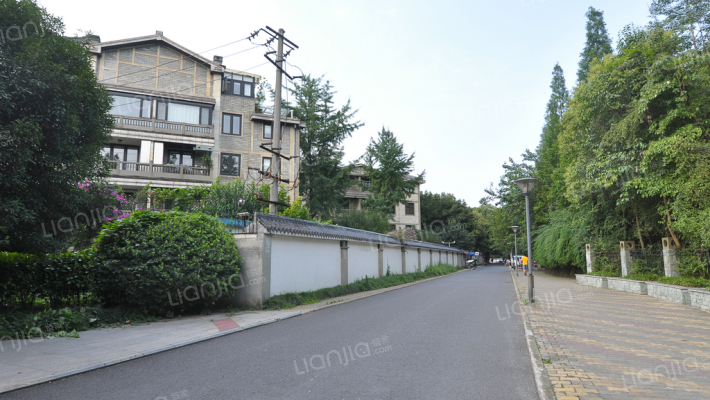 金林半岛外景图