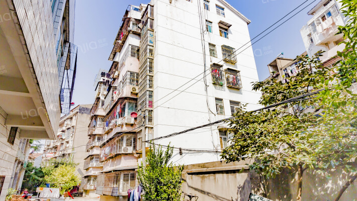 树藩大街524号外景图