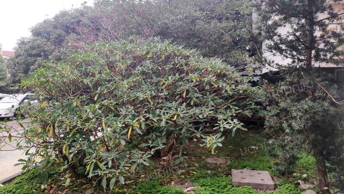 富民二村外景图