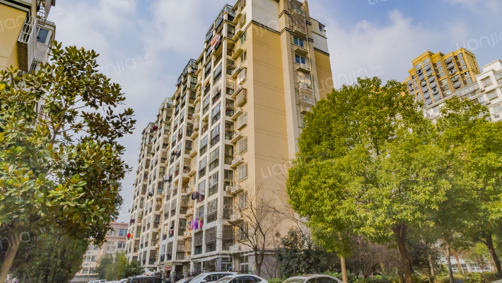 阳光枫林外景图