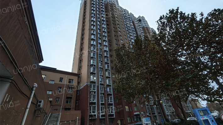 铜城丽都外景图