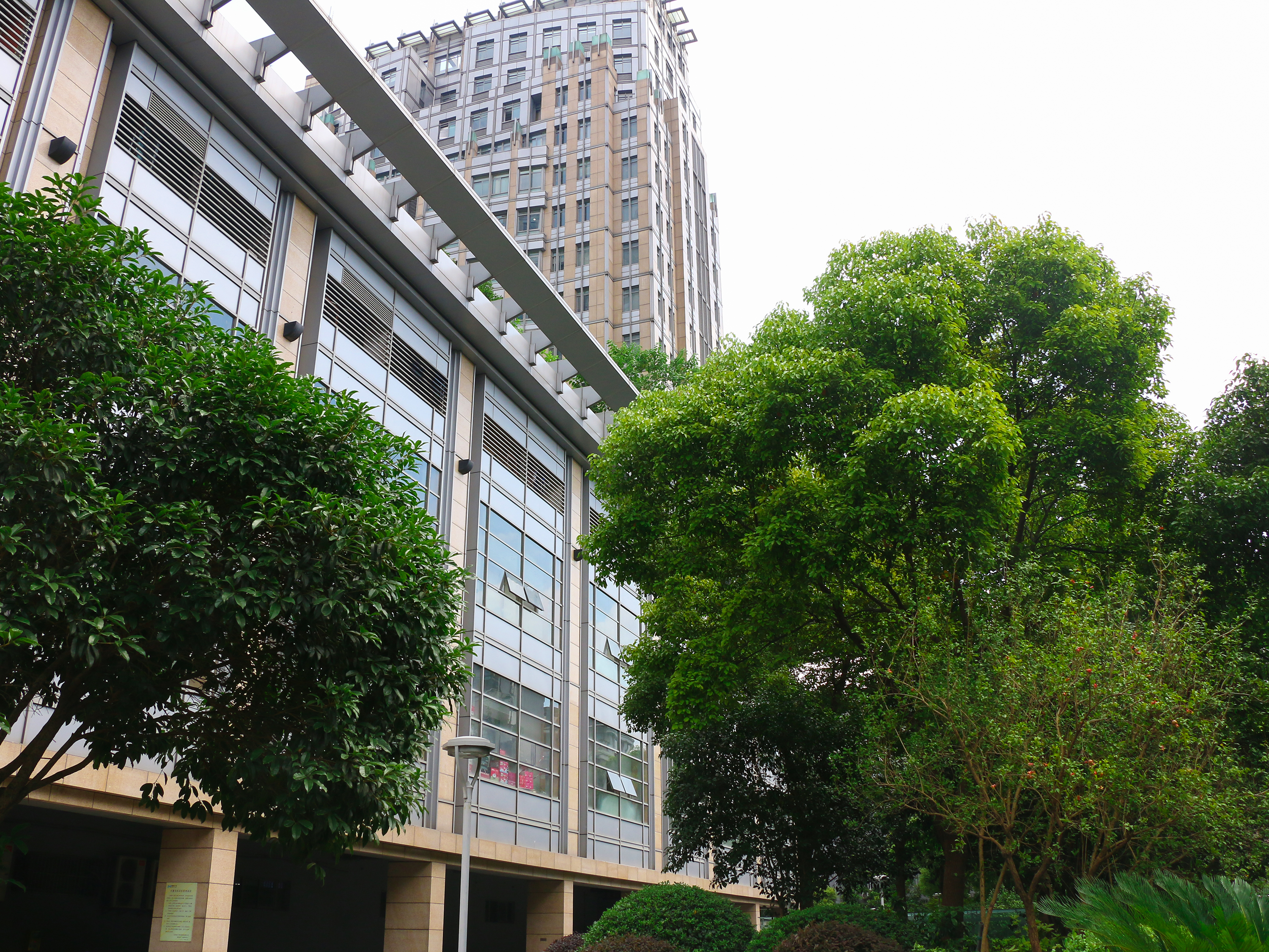 New Town Plaza compound photo 4