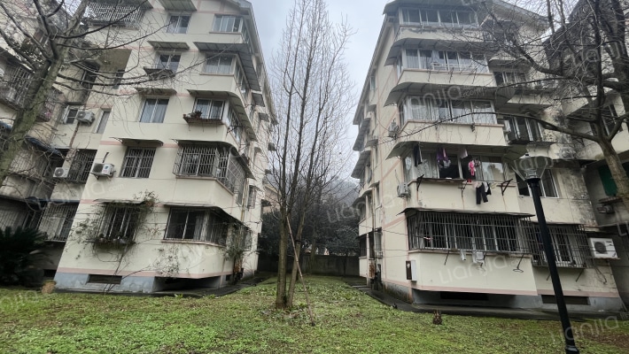 麝所桂苑外景图