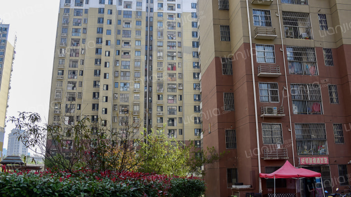 森林丁香苑外景图