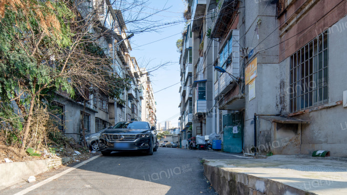 贵柴一福利外景图