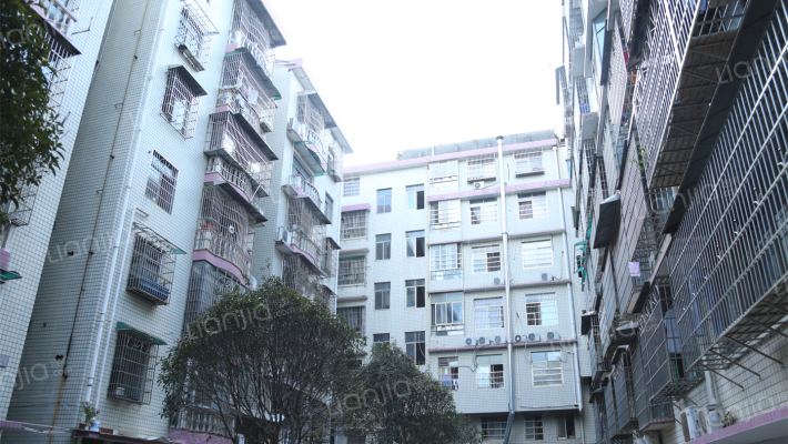 天星家园外景图