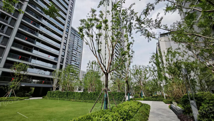 中交澄园外景图