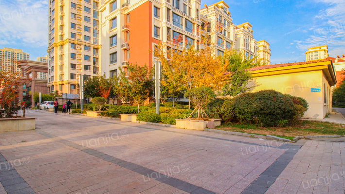 星河嘉园外景图