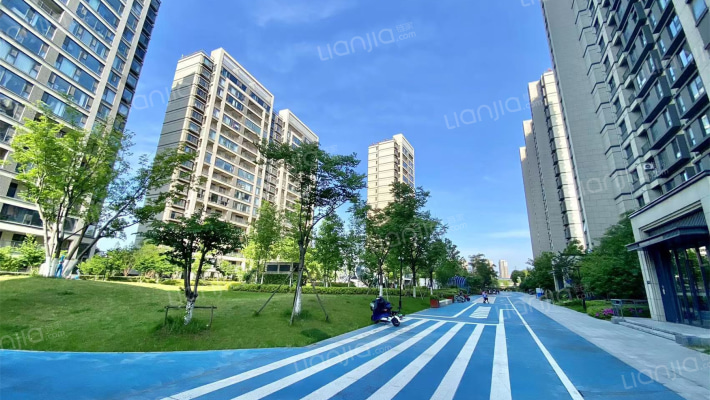 旭辉澄江府外景图