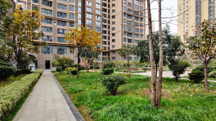 揽盛金广厦外景图