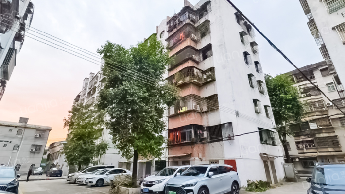 立新花园外景图