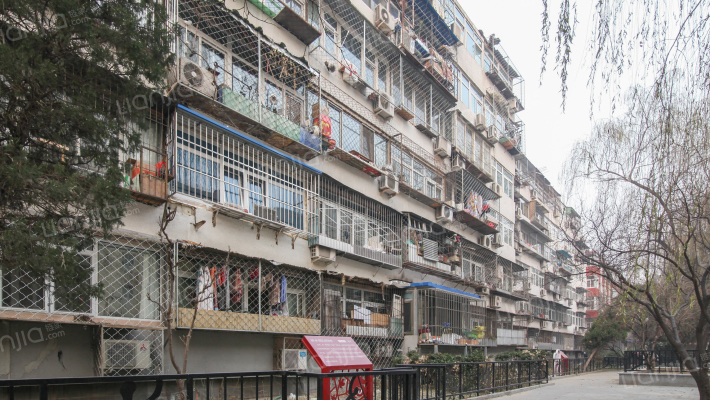 青年湖东里外景图