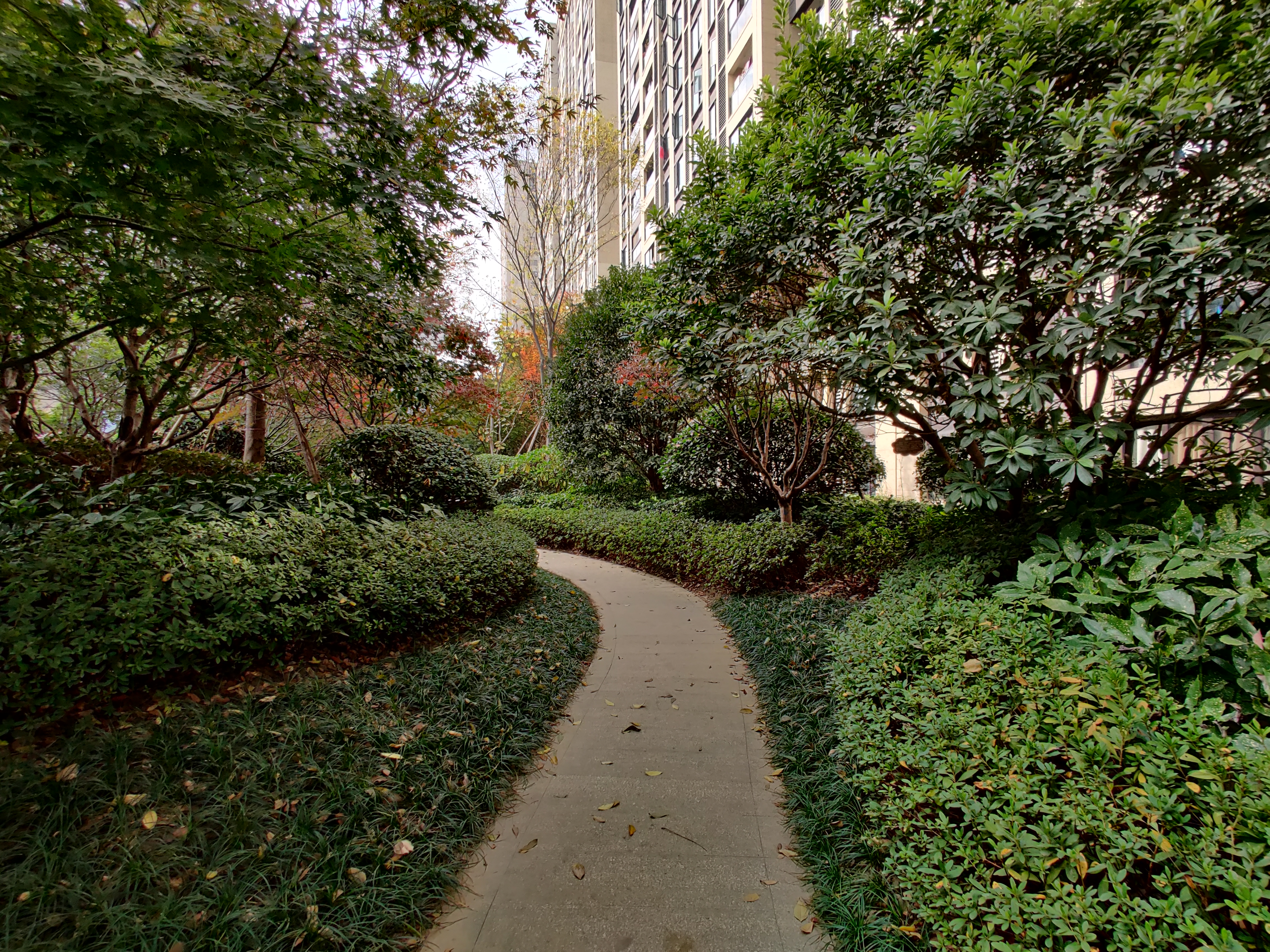 Jin Mao Yue compound photo 4