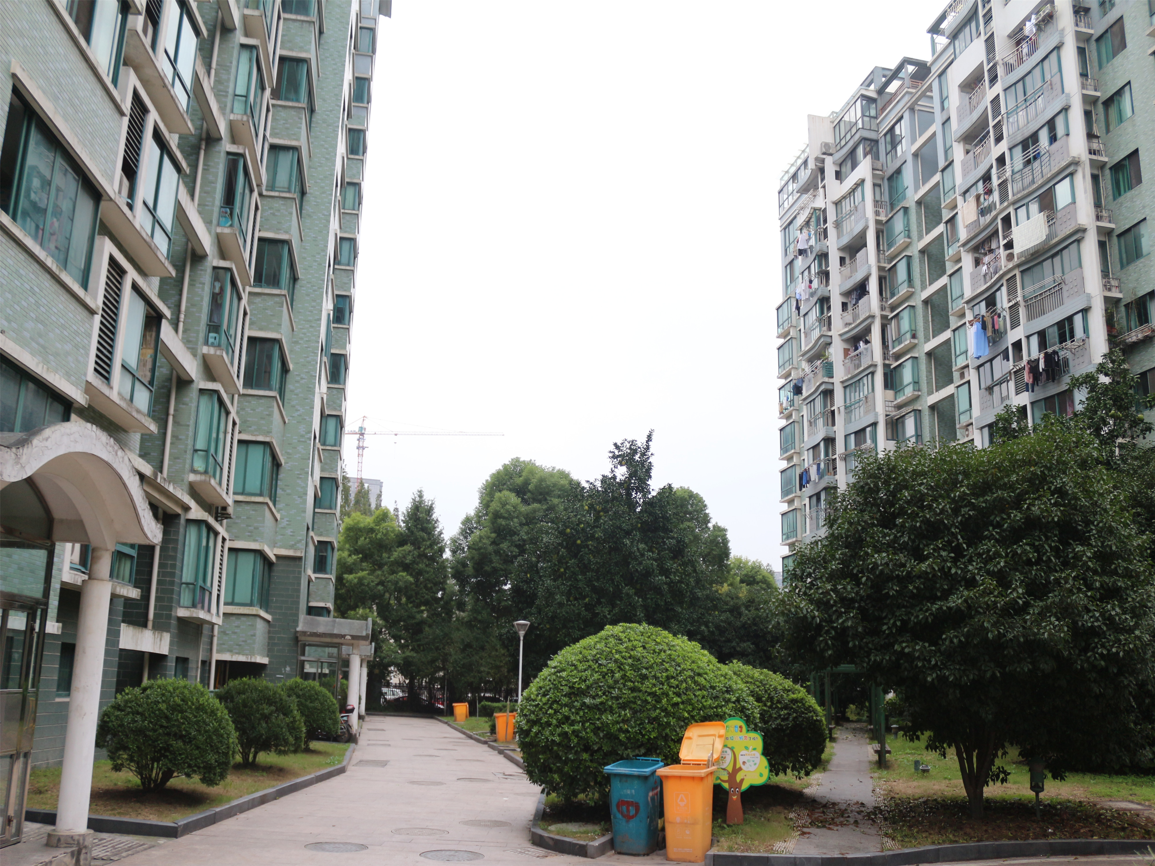 中兴花园小区实景 6