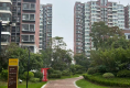 建屋哈佛公园户型图实景图