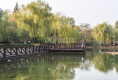 新湖明珠城马赛苑户型图实景图
