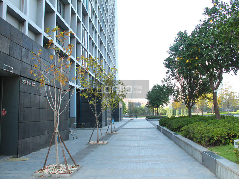 Beyond City compound photo 8
