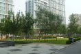 東方雅苑戶型圖實景圖
