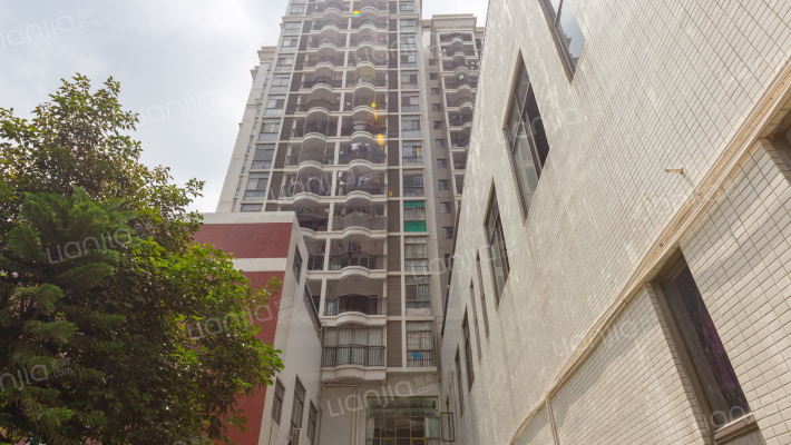 金域华府外景图