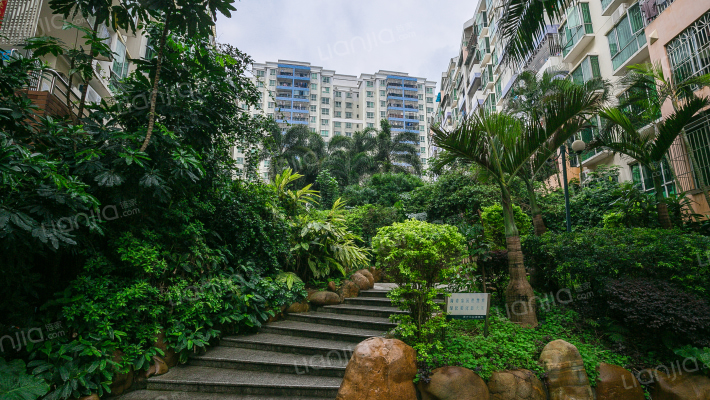 青青家园外景图