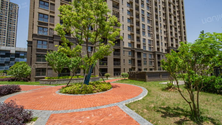 仙林印象外景图